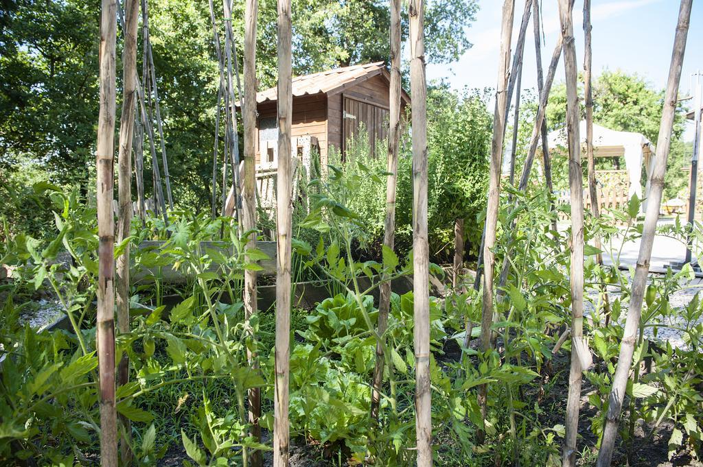 Il Casale Del Ra Guest House Tuoro sul Trasimeno Ngoại thất bức ảnh